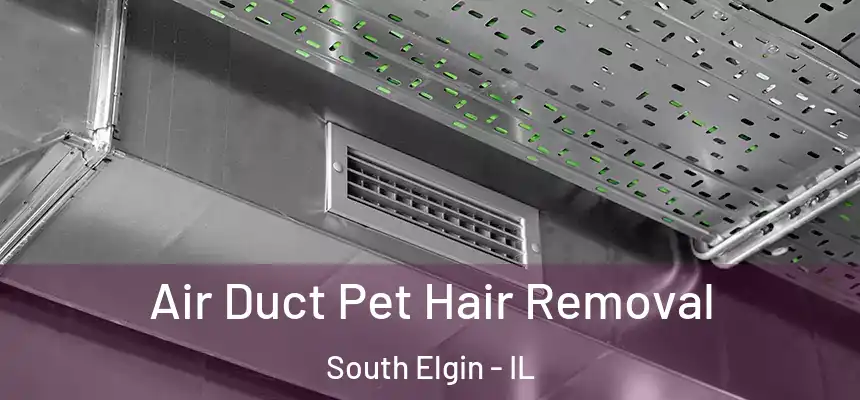  Air Duct Pet Hair Removal South Elgin - IL
