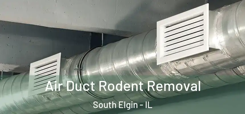 Air Duct Rodent Removal South Elgin - IL