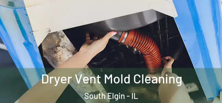  Dryer Vent Mold Cleaning South Elgin - IL