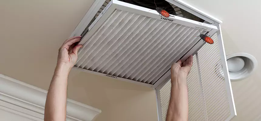 Preventive Cockroach-Proofing for Ducts in South Elgin