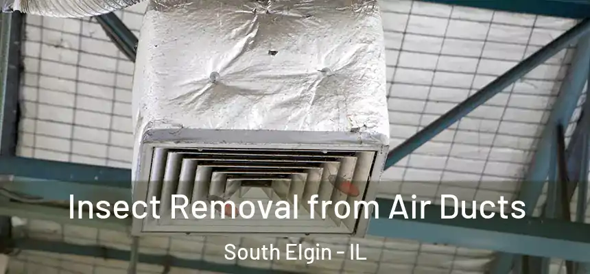  Insect Removal from Air Ducts South Elgin - IL