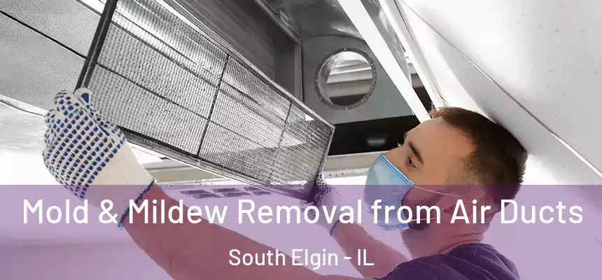  Mold & Mildew Removal from Air Ducts South Elgin - IL