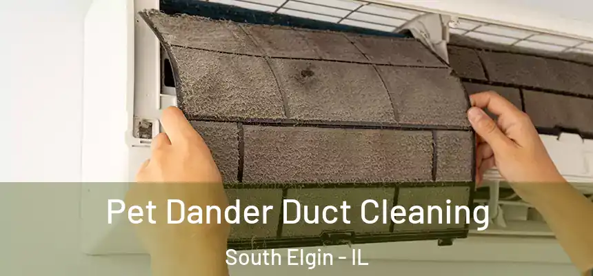  Pet Dander Duct Cleaning South Elgin - IL