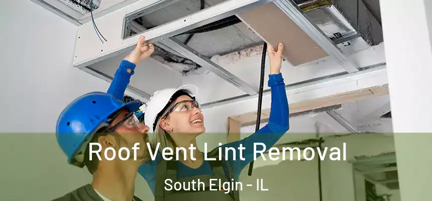 Roof Vent Lint Removal South Elgin - IL