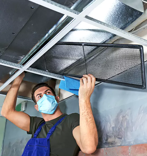 About Air Duct Bacteria Removal in South Elgin