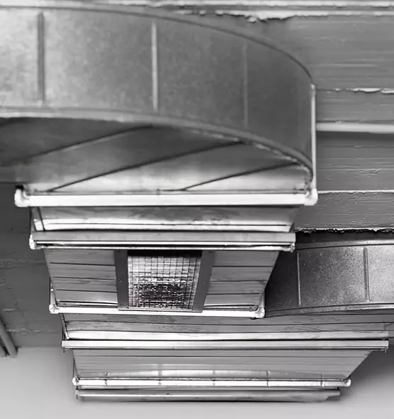 Professional Air Duct Pest Removal in South Elgin, IL