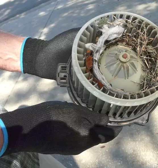 About Air Duct Rat Removal in South Elgin, IL