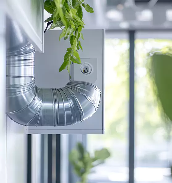 Professional Eco-Safe Dryer Vent Cleaning in South Elgin, IL