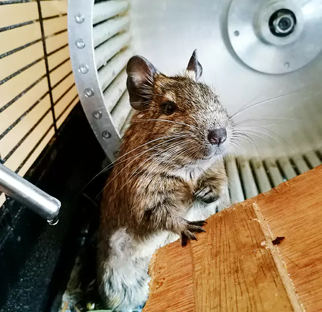 Why Homeowners & Businesses Trust Us South Elgin, IL