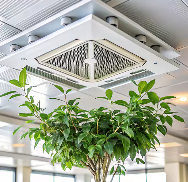 Why Homeowners & Businesses Trust Us in South Elgin, IL?