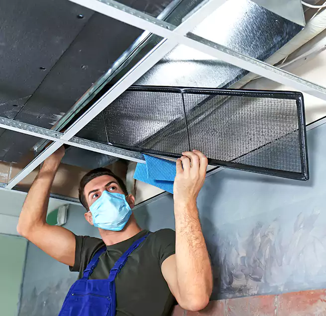 Why Homeowners Businesses Trust Us in South Elgin, IL